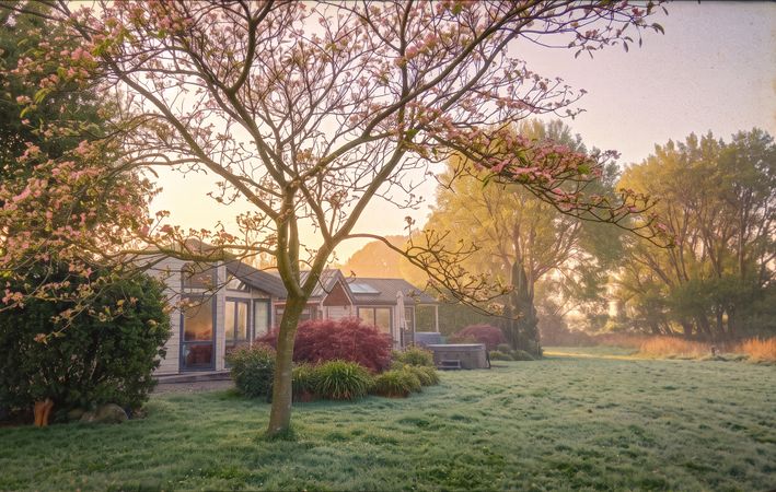 Astelia Lodge in Spring